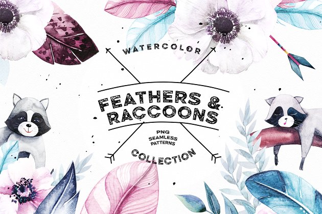 羽毛和浣熊水彩剪贴画 Watercolor Feathers & Raccoons插图