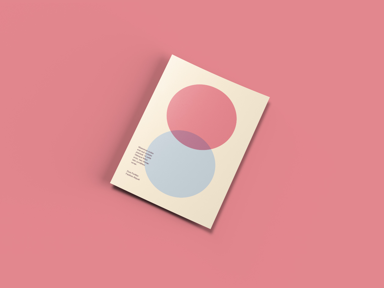 A4尺寸信纸设计效果预览样机 A4 Paper Mockup插图