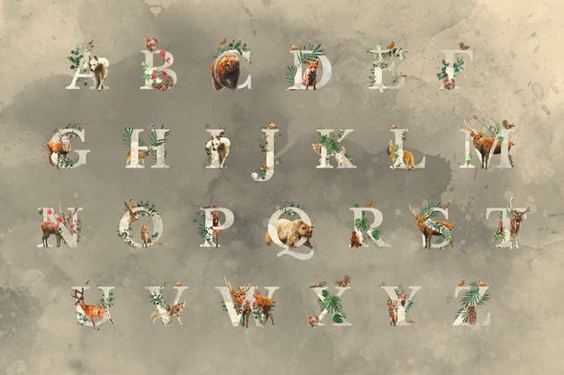 奇幻森林元素手绘插画元素合集 Forest Illustrations Graphics Kit插图(9)