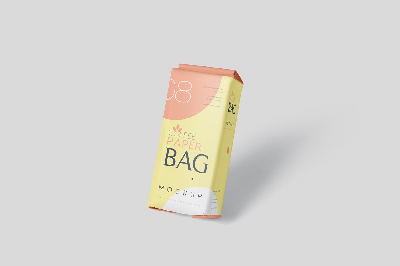 咖啡粉/咖啡豆纸袋包装素材库精选模板 Coffee Paper Bag Mockup Set插图(5)