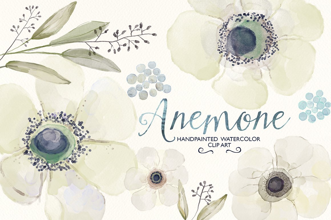 毛茛属植物水彩插画素材 Watercolor ranunculus clip art插图(1)