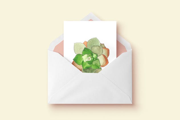 多肉植物手绘水彩插画合集 Watercolor Succulent Collection插图(4)