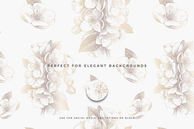 12款优雅金色花朵手绘图案素材 Golden Flower Patterns Collection插图(3)