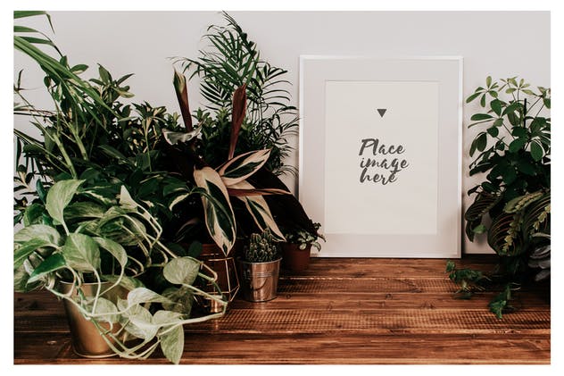 盆栽装饰画框样机模板 Frame Mockup Boho Style插图(7)