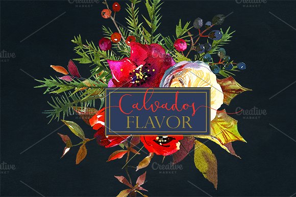 冬季红色水彩花卉剪贴画合集 Red Winter Flowers Clipart Set插图(7)