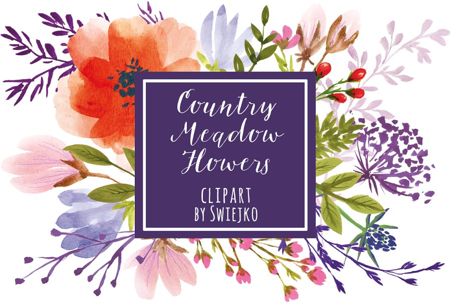 浪漫手绘水彩草甸花设计插画 Watercolor Meadow Flowers插图