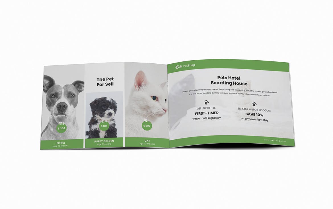 宠物店/宠物医院A5宣传册设计模板 Pet Shop A5 Brochure Template插图(9)