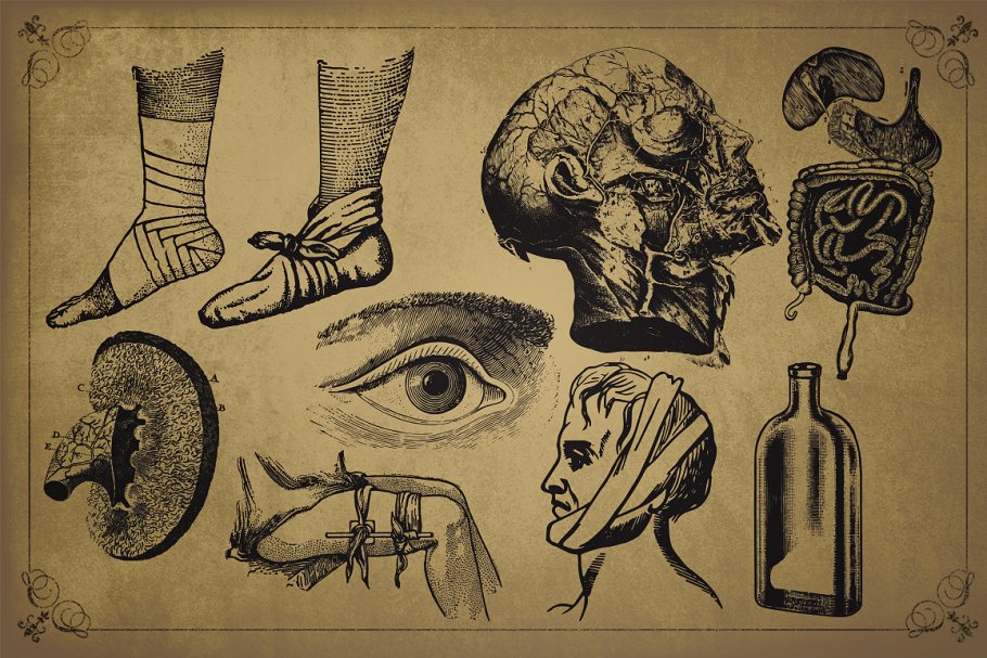 旧时代解剖医学插图素材 Medical Art | 110 EPS, PNG and JPG’s插图(7)