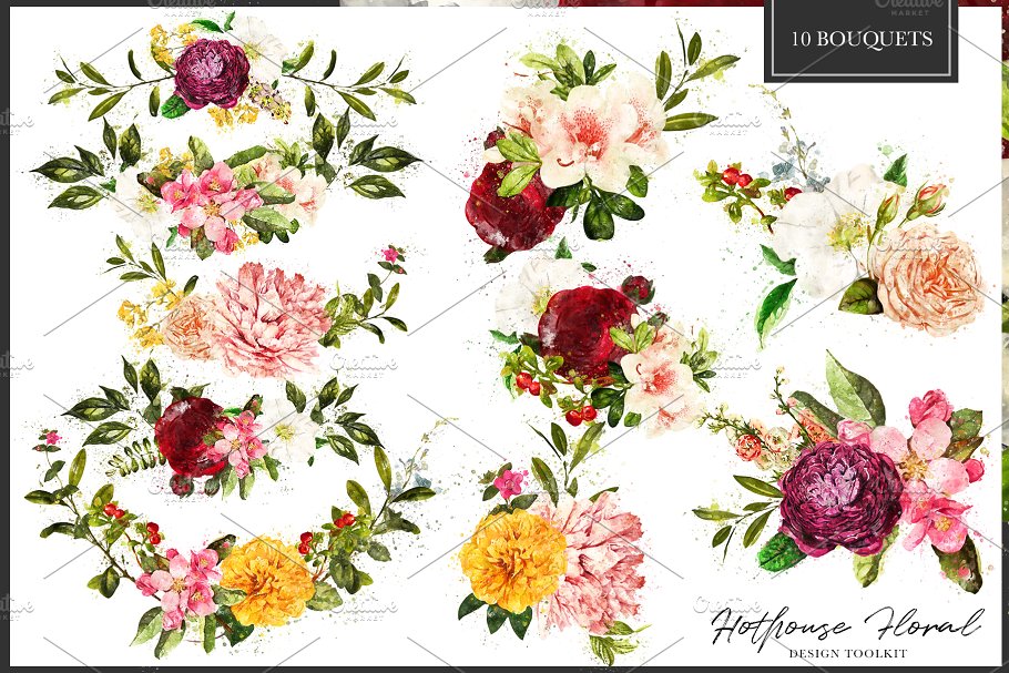 数码绘制温室花卉设计素材包(独立花卉元素&花式字母数字) Hothouse Floral Design ToolKit插图(1)