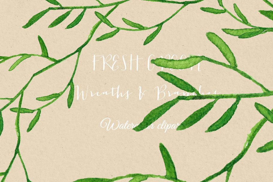 新鲜淡绿色手绘树枝花环剪贴画合集 Fresh green branches & wreath插图(4)