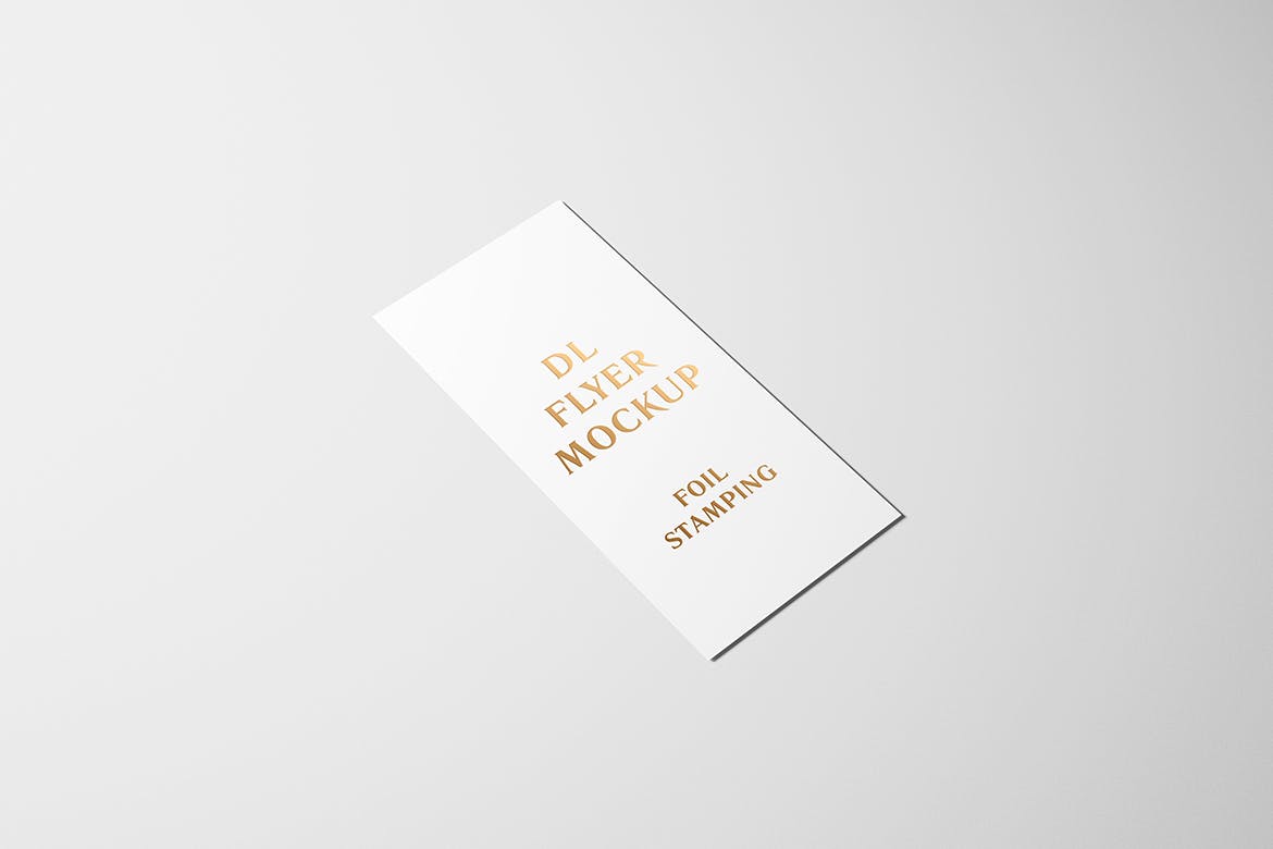 高端逼真质感得DL传单名片铝箔冲压特殊工艺VI样机展示模型mockups插图(2)