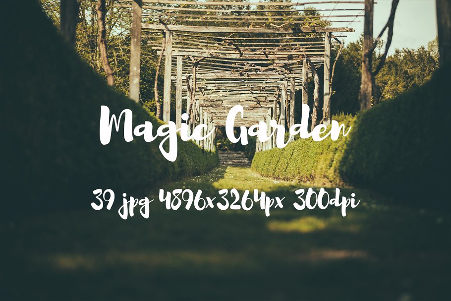 秘密花园花卉植物高清照片素材 Magic Garden photo pack插图(11)