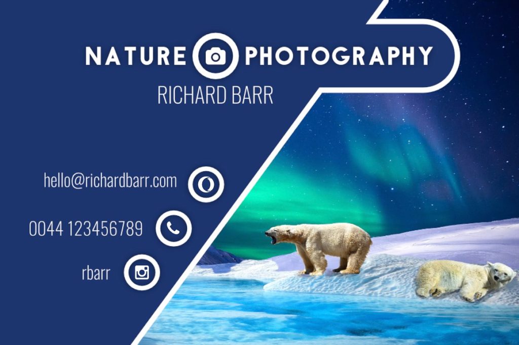 一组免费摄影师的名片模板下载[eps,psd,svg,png]插图(5)