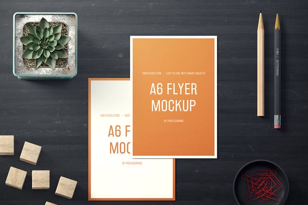 逼真A6纵向传单样机套装1 A6 Portrait Flyer Mockup Set 1插图(3)