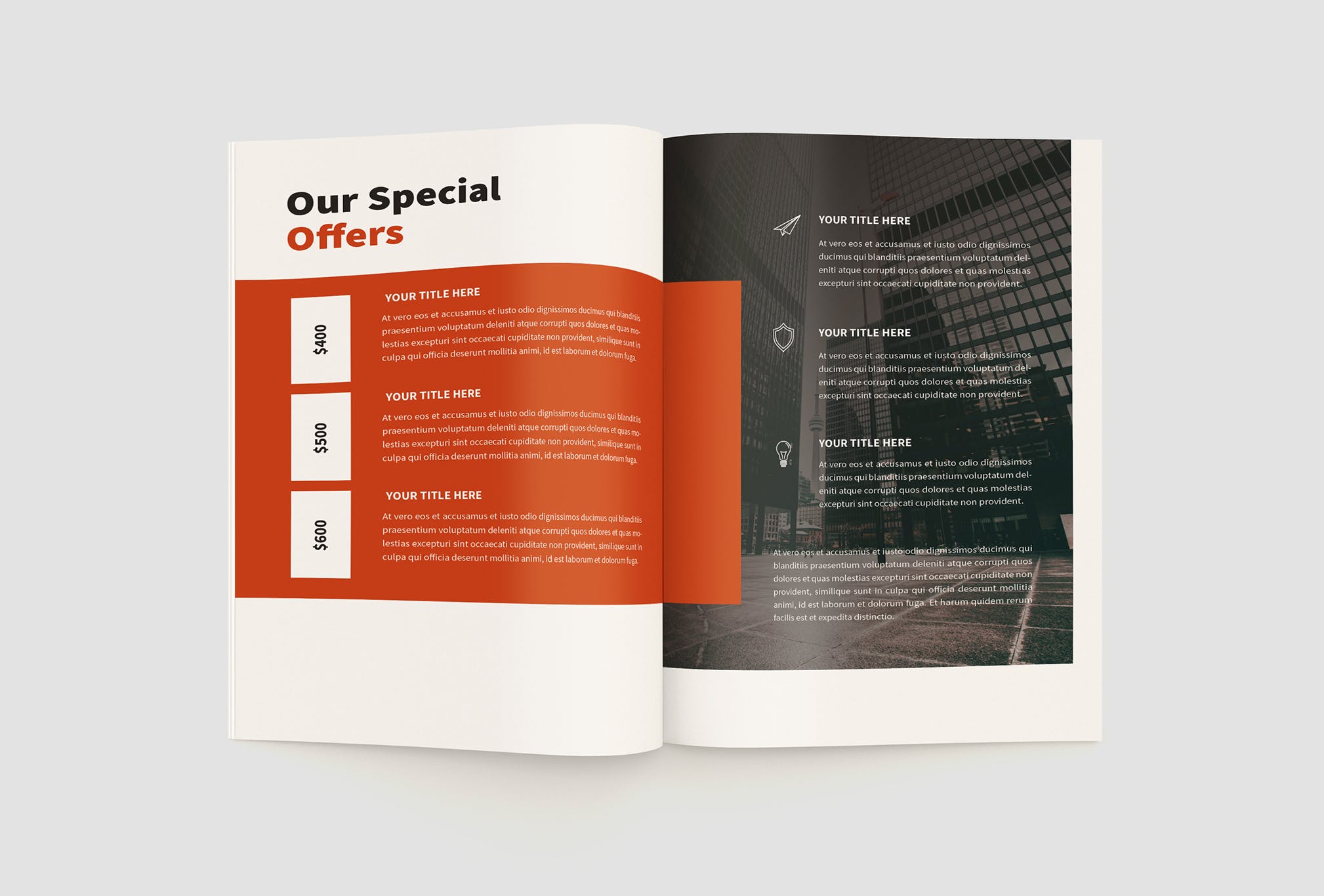 项目商业计划书/项目提案设计模板 The Project Company Profile插图(9)