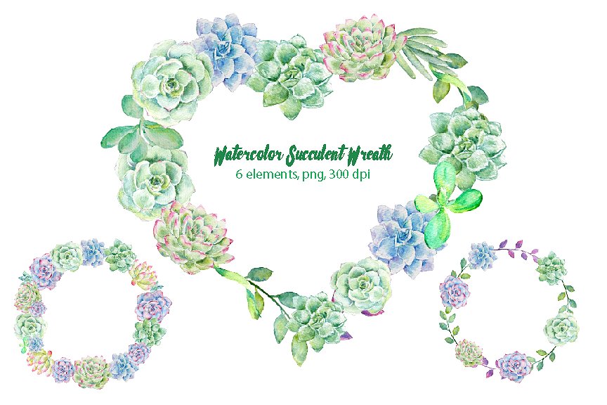 绚烂多彩花环水彩剪切画 Watercolor Succulent Wreaths插图