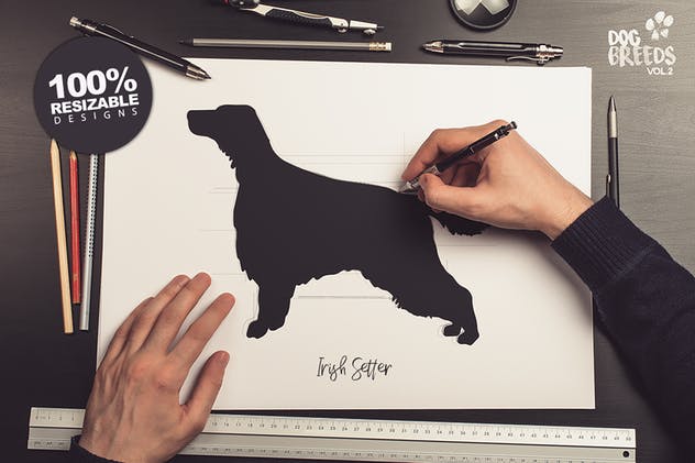 10款动物犬种矢量插画素材 10 Dog Breeds vol2 + Bonus插图(2)