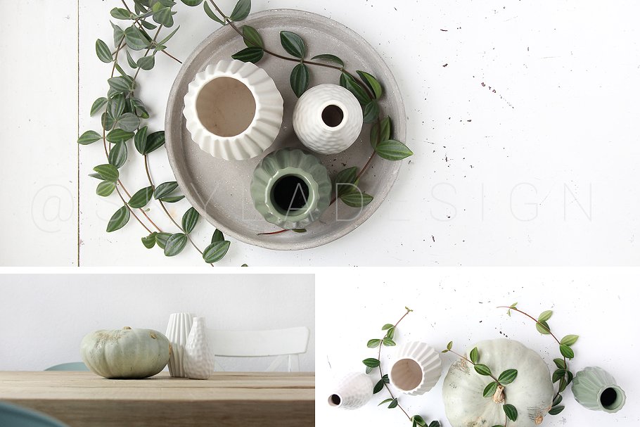 绿色盆栽植物纹理 Mint pumpkin, Styled stock photos插图(3)