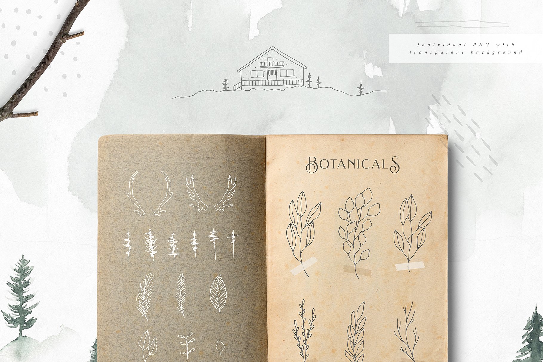 诗情画意荒野水墨画插画 Wild Pinery Watercolor Collection插图(5)