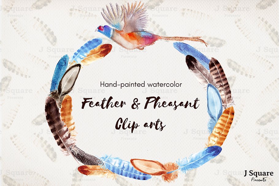 彩色水彩山鸡羽毛剪贴画 Watercolor Feather Clip Arts插图