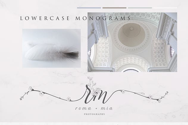 手绘花式单字字母和Logo设计素材收藏 Flowered Monogram & Logo Collection插图(4)