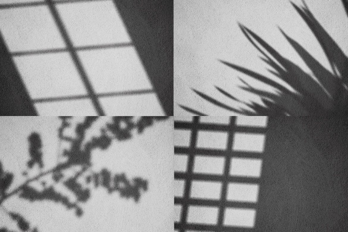 逼真植物阴影背景样机合集 Realistic Shadow Mock-Up Collection插图(2)