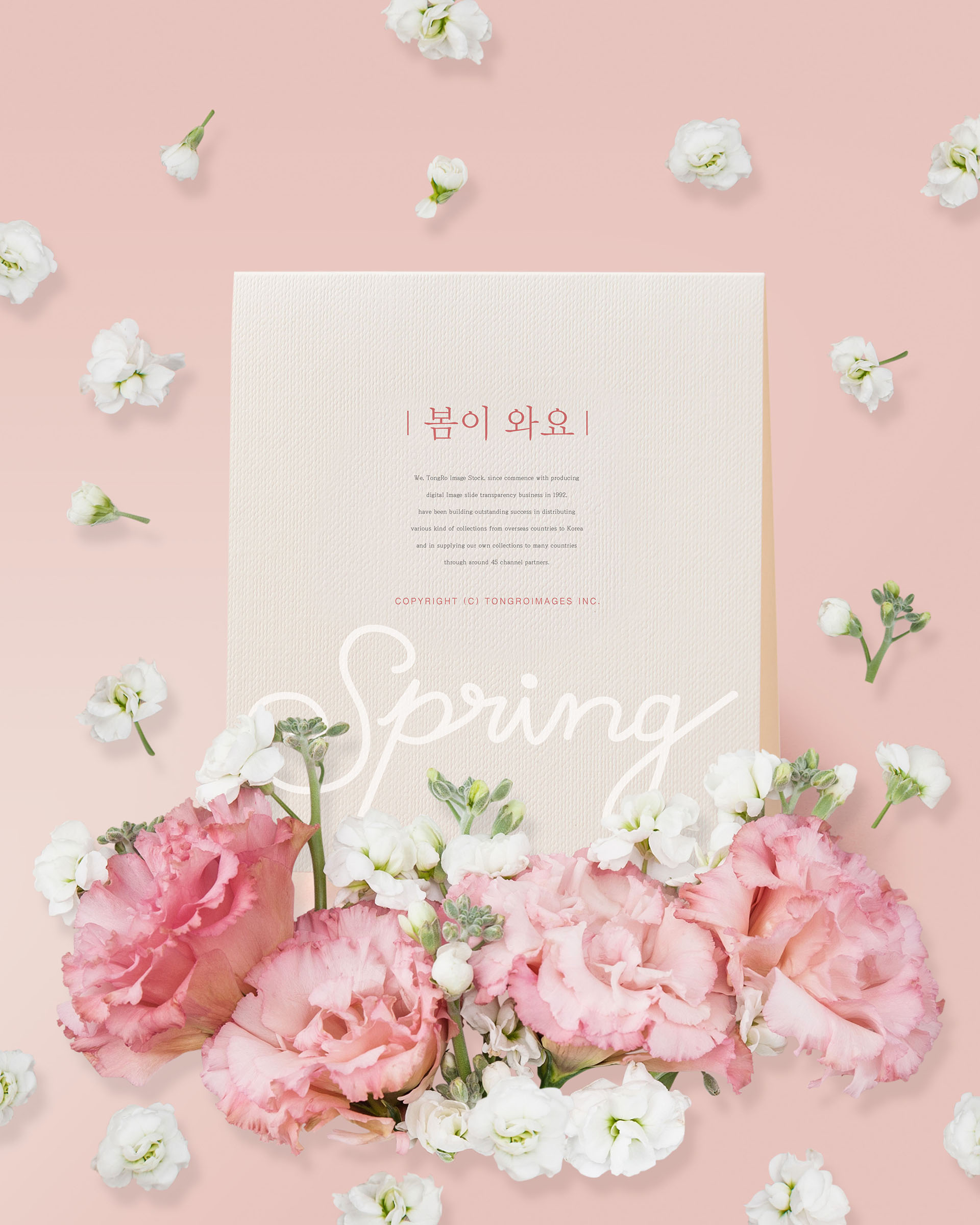 清新的春天氛围创意海报模板PSD插图(2)