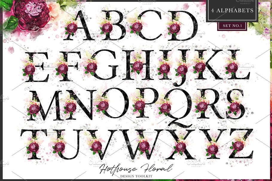 数码绘制温室花卉设计素材包(独立花卉元素&花式字母数字) Hothouse Floral Design ToolKit插图(6)