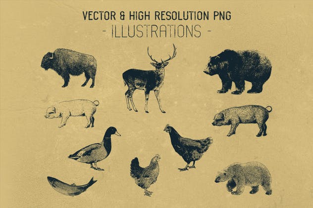 经典复古英文字体 Habanos Retro Font插图(6)