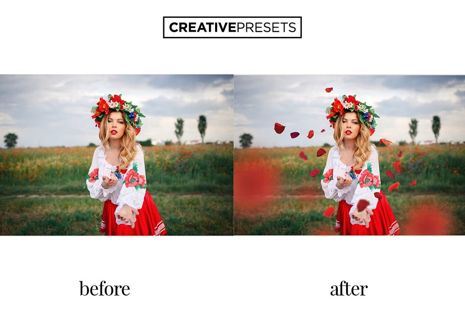 浪漫野生罂粟叶照片处理叠层 Wild Poppies Photo Overlays插图(6)