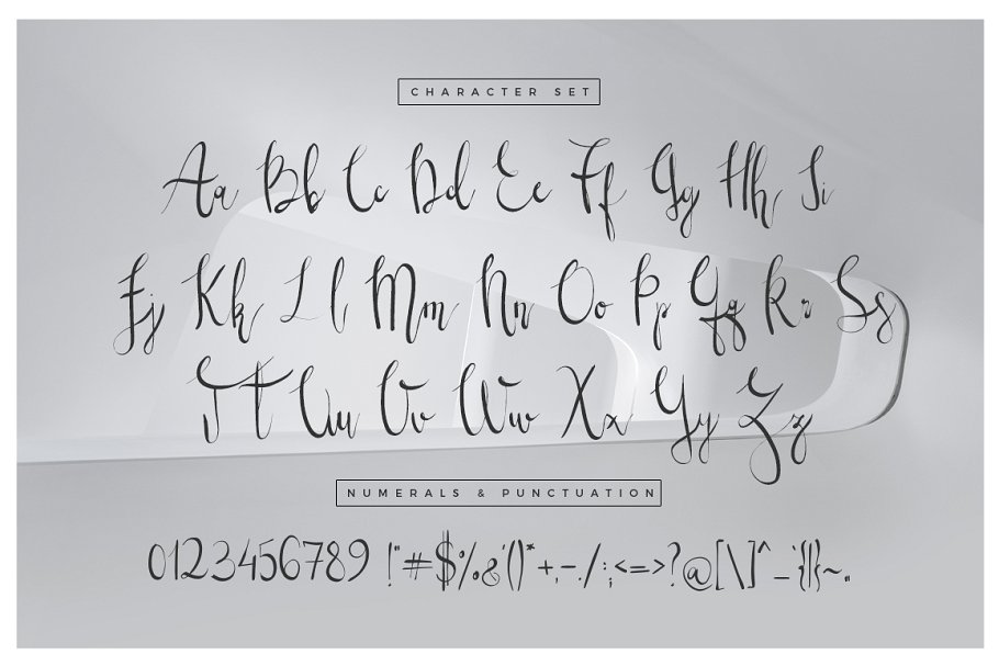 13款手写英文字体合集&Logo模板、矢量插画 Wonderland Fonts Pack & Branding Kit插图(78)