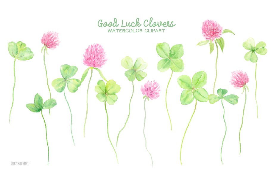 幸运水彩花卉剪贴画 Watercolor Clipart Good Luck Clovers插图