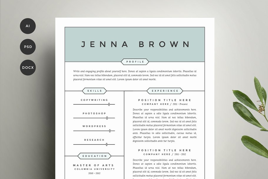 两列式经典简历模板 Resume Template 4 Pack | CV Template插图