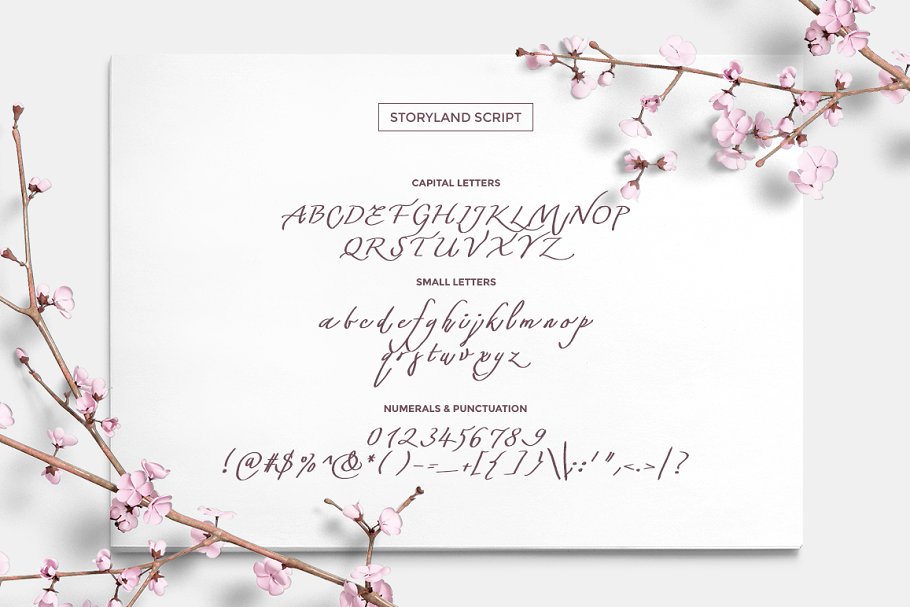 13款手写英文字体合集&Logo模板、矢量插画 Wonderland Fonts Pack & Branding Kit插图(44)