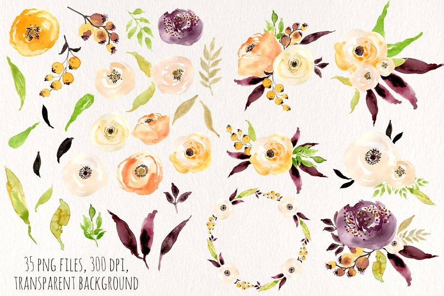 35个手绘花卉水彩图形元素 Friday Flowers插图(2)