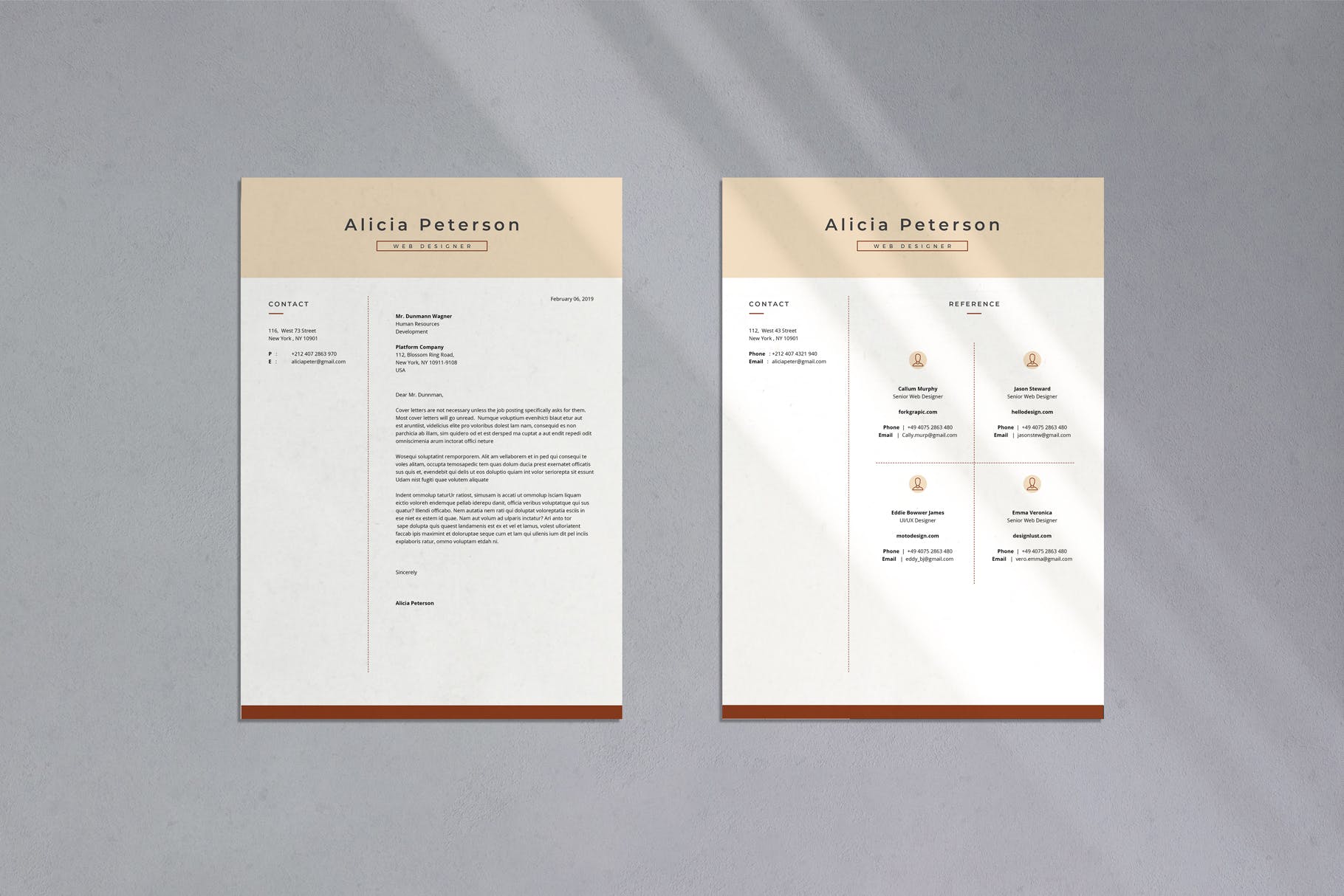 专业个人履历表设计模板v03 Professional CV Resume – 03插图(2)