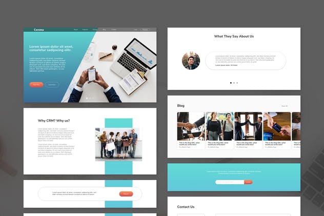 CRM系统服务商网站设计模板for XD Cerema CRM Website Adobe XD Template插图(1)