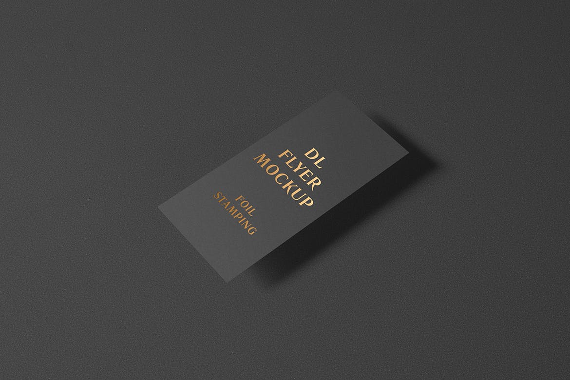 高端逼真质感得DL传单名片铝箔冲压特殊工艺VI样机展示模型mockups插图(5)