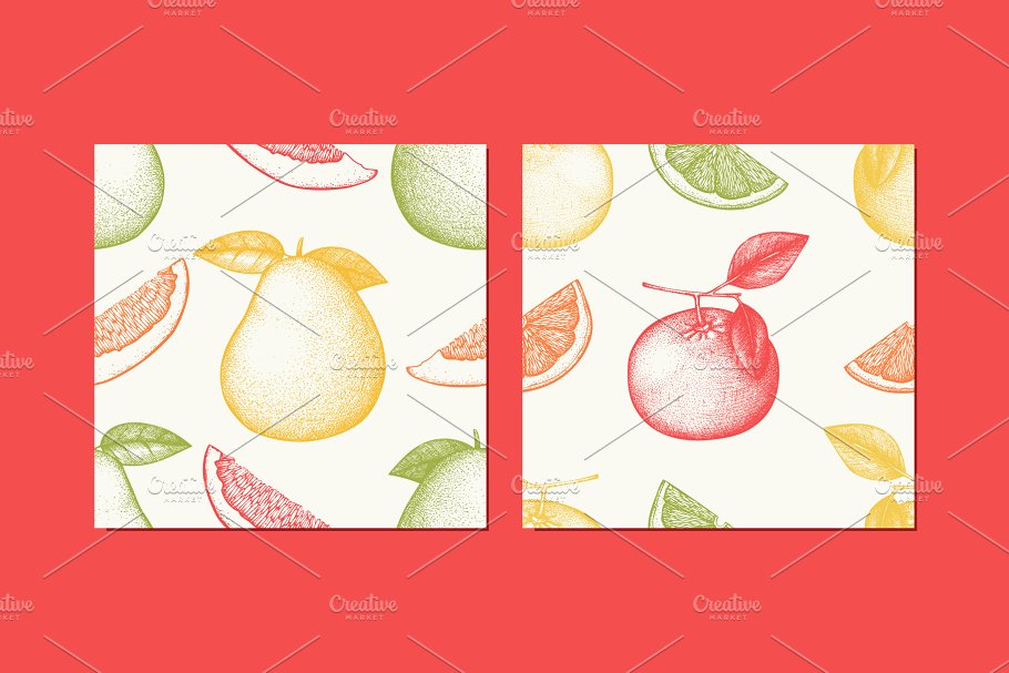 手绘素描柑橘类水果矢量无缝纹理 Vector Citrus Fruits Patterns Set插图(3)