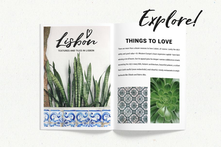 炎炎夏日植物主题场景样机 Summer stock, texture, tiles, plants插图(1)