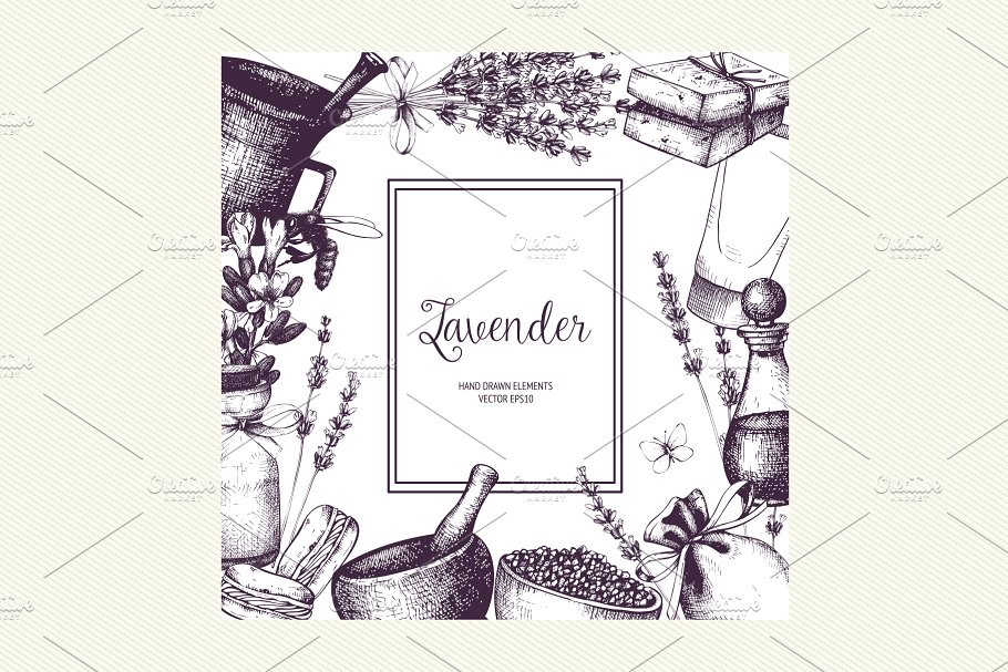 复古墨水手绘薰衣草矢量插图 Vector Lavender Designs Set插图(3)