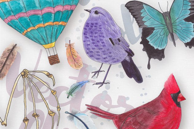 生物系列水彩手绘插图合集Vol.2 Watercolor Creatures vol. 2插图(5)