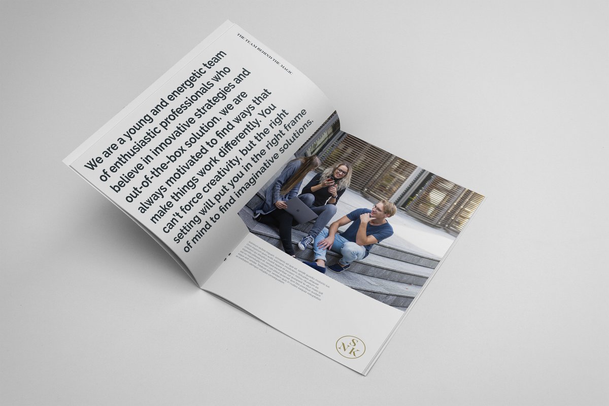 简约商业项目提案企业宣传册设计模板插图(1)