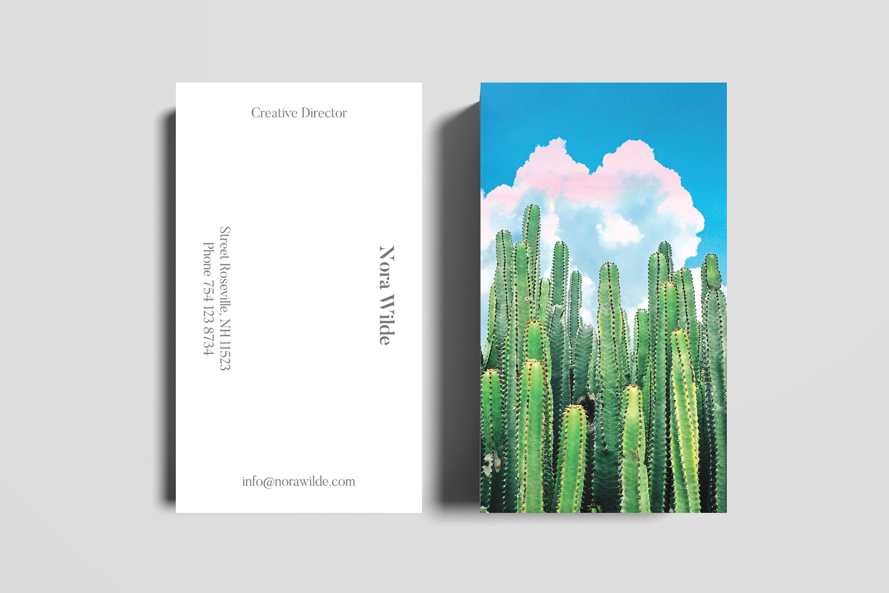夏日仙人掌水彩艺术办公文具设计套装 Cactus Summer Art & Stationary Kit插图(3)