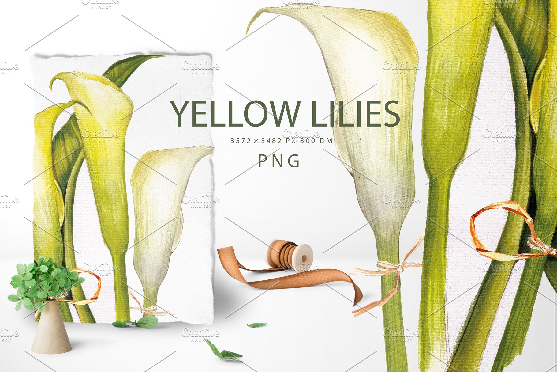 异国花卉水彩插画收藏集 EXOTIC FLOWERS collection插图(4)