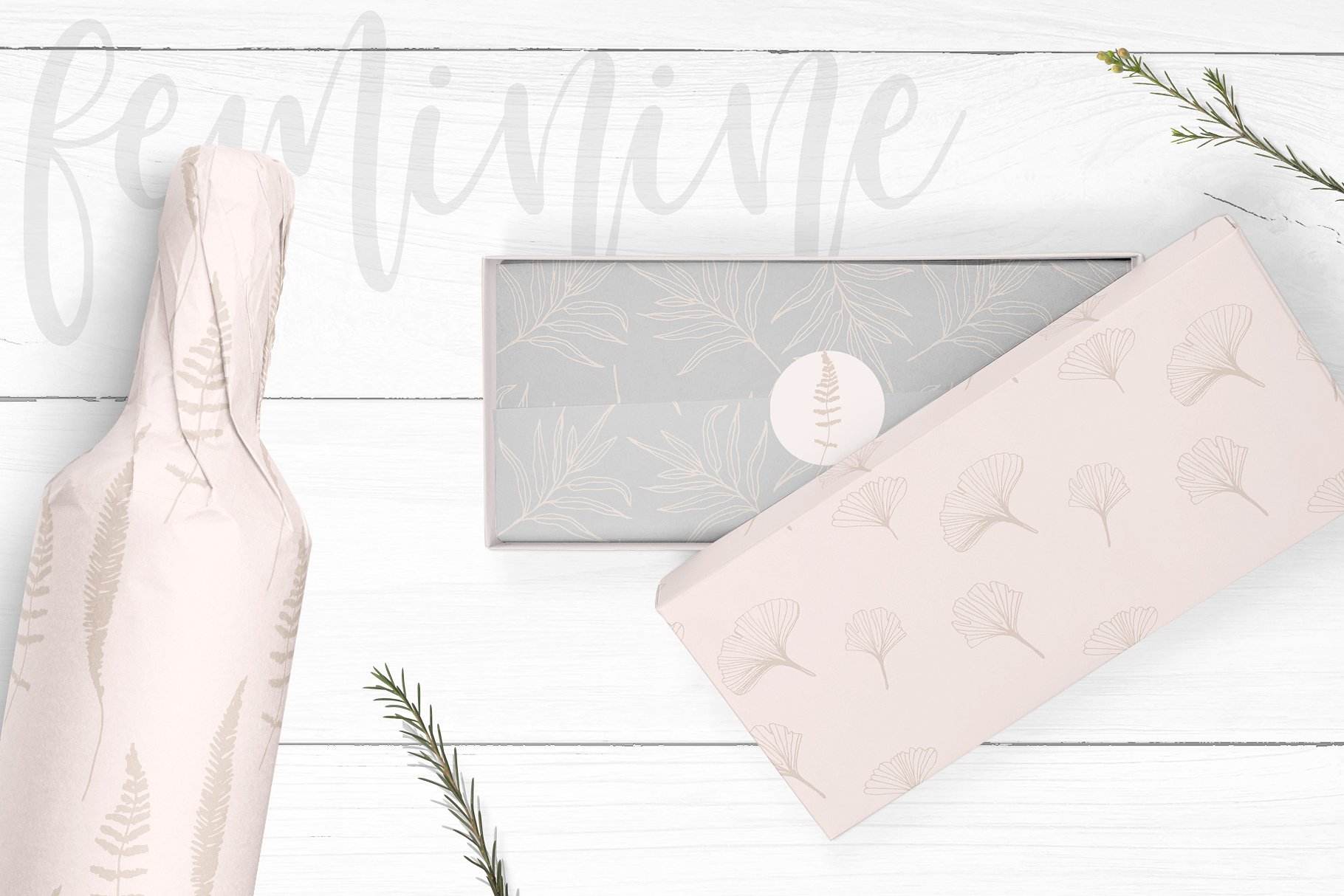 浪漫手绘色彩落叶树枝元素 Hand drawn Leaves Collection插图(3)