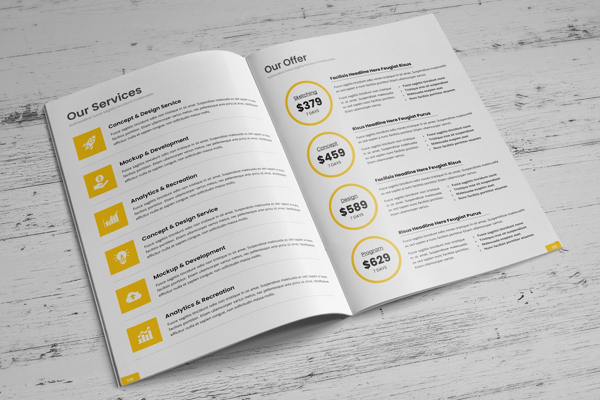 商业项目业务提案手册设计模板插图(13)