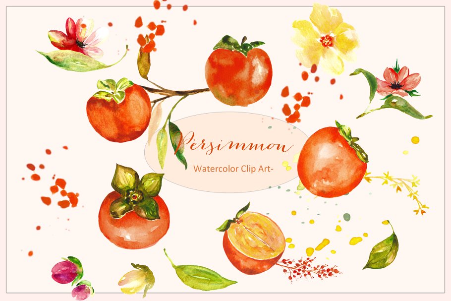 水彩柿子水果花卉橘色艺术剪贴画 Persimmon. Orange watercolor Clipart插图(1)