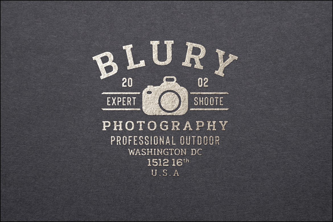 欧美复古设计风格品牌素材库精选LOGO商标模板v17 Vintage Logo & Badge Vol. 17插图(2)