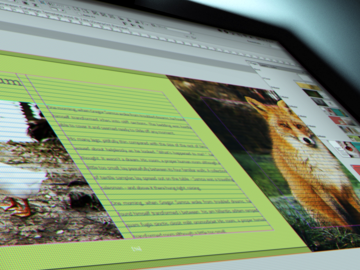 宣传小册子排版设计模板 Chameleon Free InDesign Brochure Template插图(3)